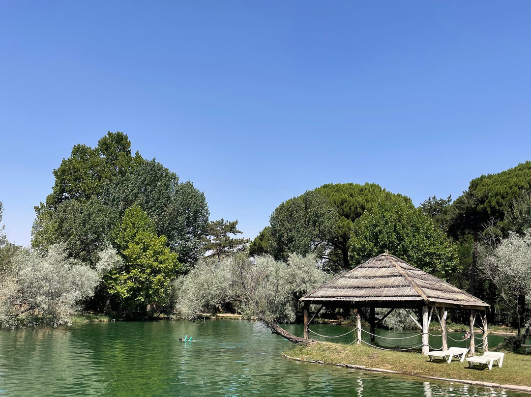Hotel Parque Balneario Termas Pallares主图