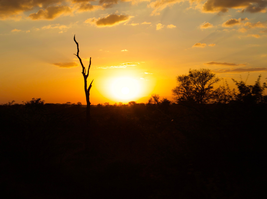 Honey Badger Safaris Kruger Tours-玛洛斯帕克必去景点