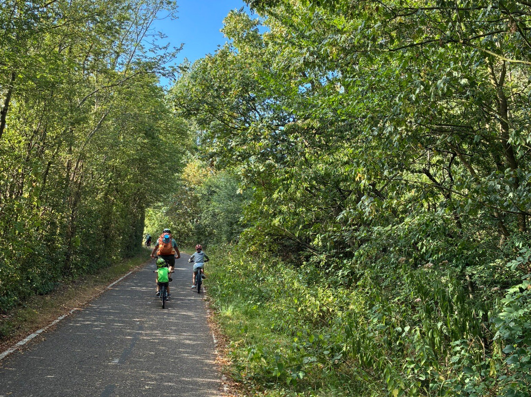 Boswachterspad Veerse Bos-Veere必去景点