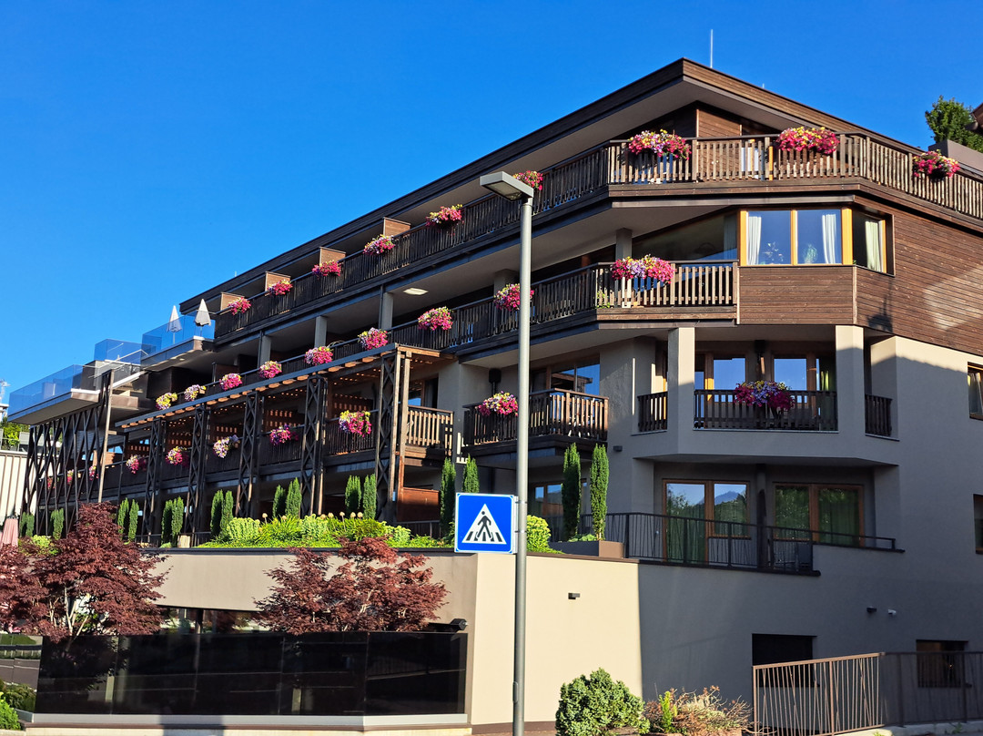 Terentnerhof  S Active & Lifestyle Hotel主图