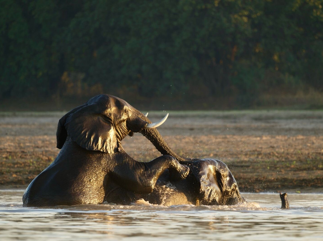 Msandile River Lodge主图