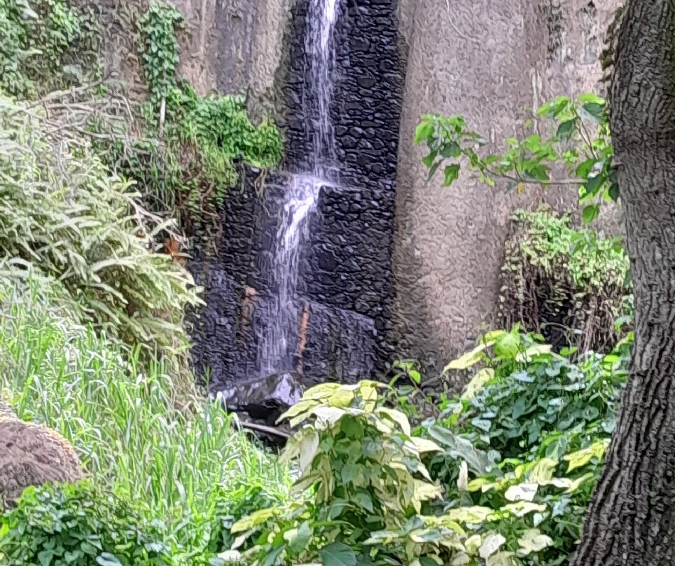 Zoo de Martinique-Le Carbet必去景点