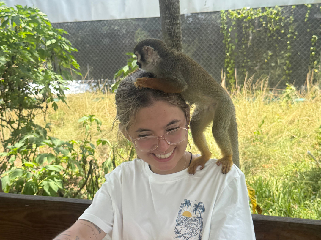 Monkey Home Puerto Plata-普拉塔港必去景点