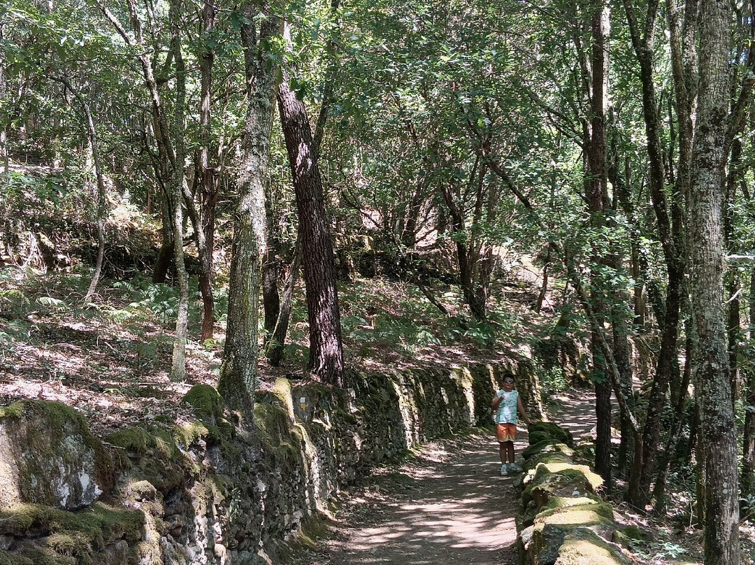 Cascada De Auga Caida-Panton必去景点