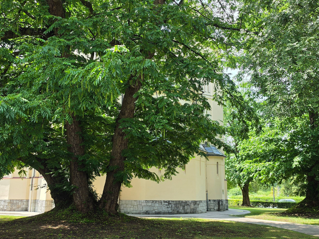 Sts. Cyril and Methodius Orthodox Church-卢布尔雅那必去景点