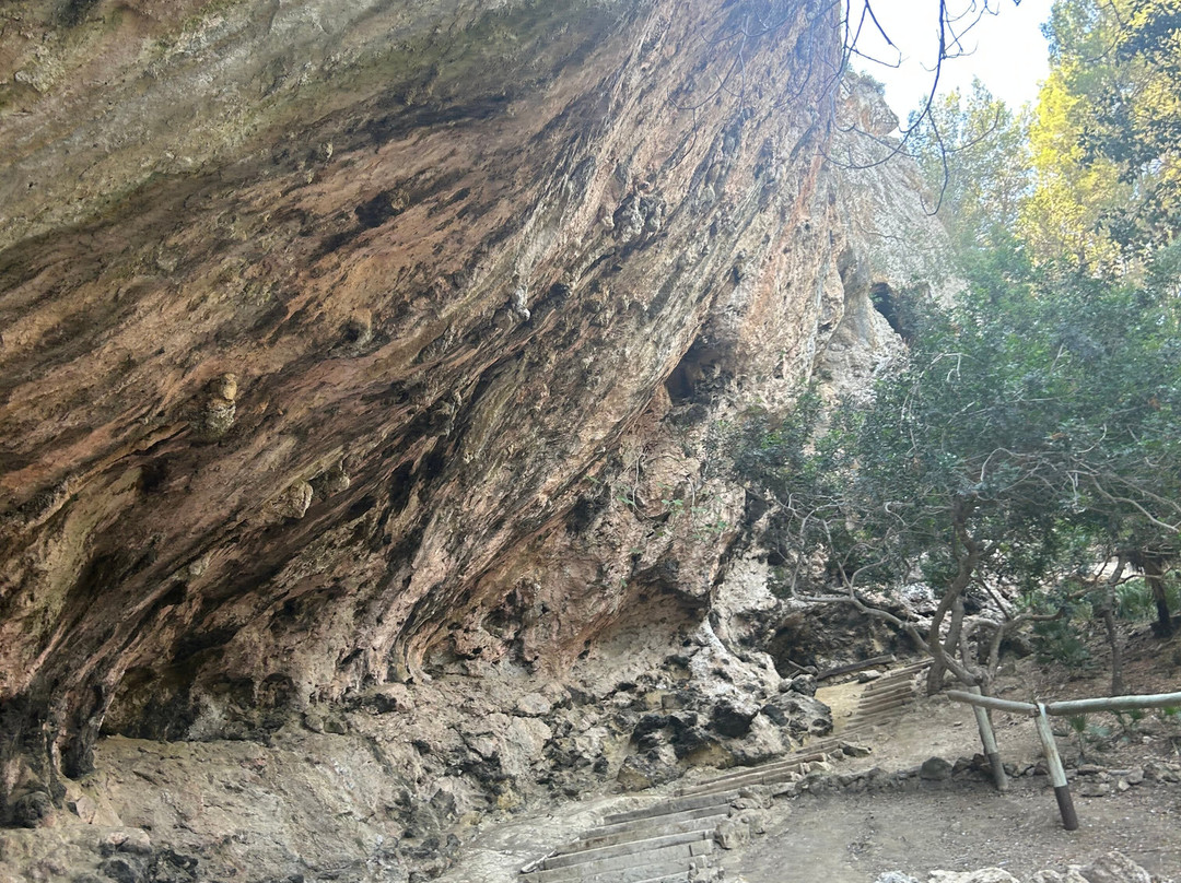 La Reserva Puig de Galatzó-Puigpunyent必去景点
