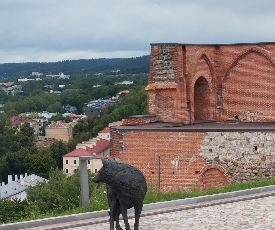 Gediminas Castle Tower-维尔纽斯必去景点