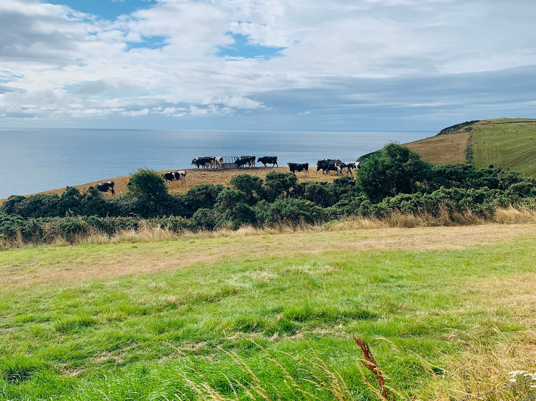 Isle of Man Steam Railway-Douglas必去景点