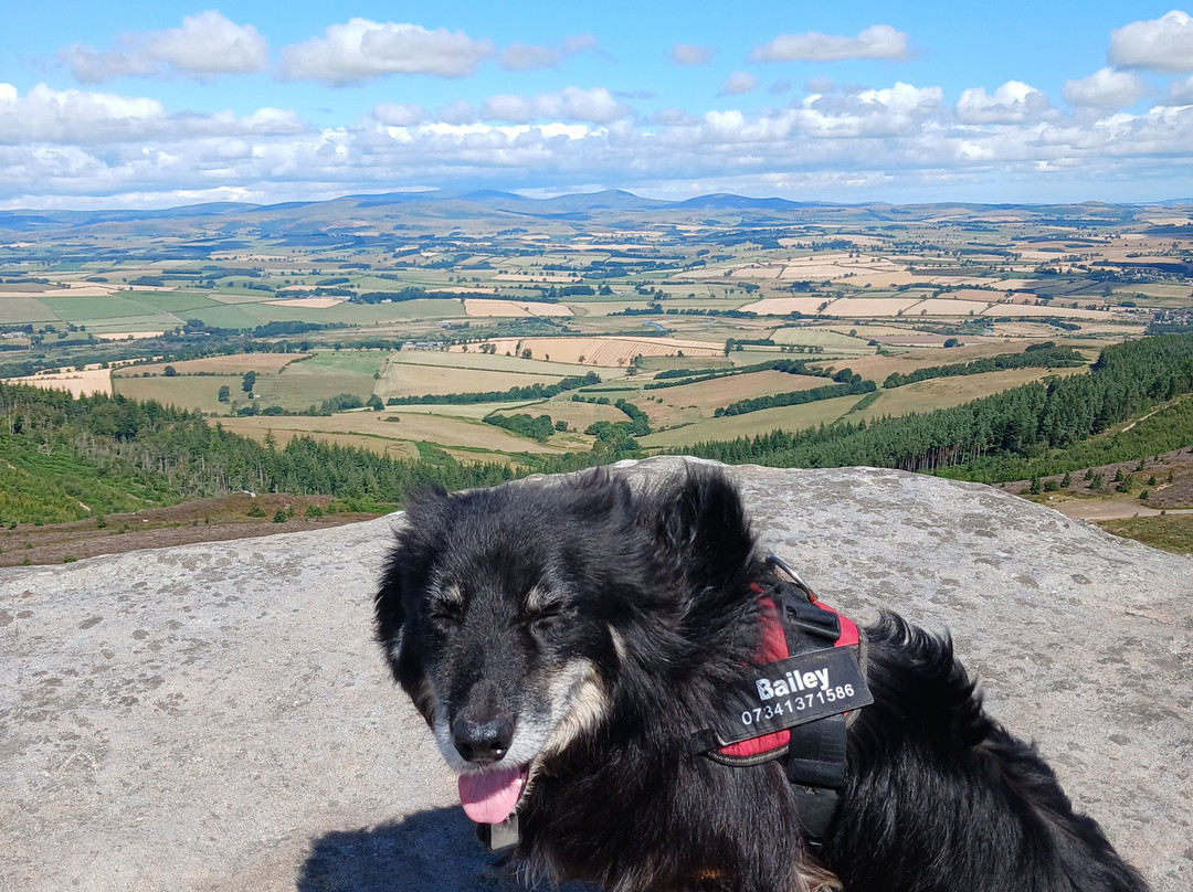 Simonside Hills-Northumberland National Park必去景点