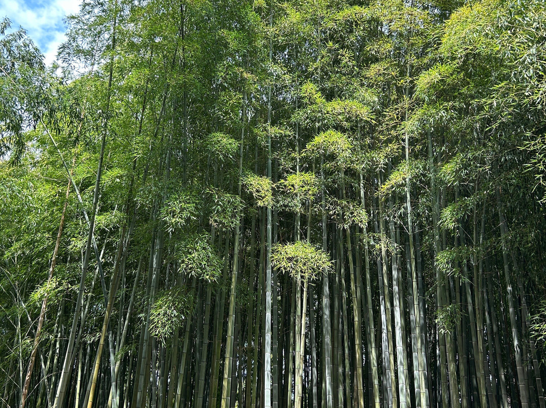 Le Jardin de Planbuisson-Le Buisson-de-Cadouin必去景点