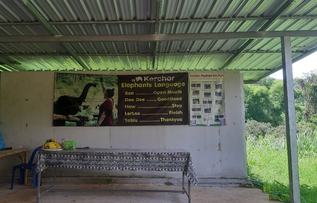 Kerchor Elephant Eco Park-清迈必去景点