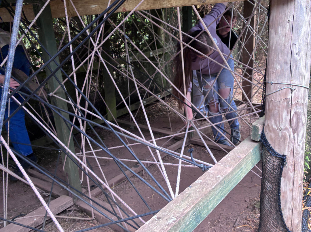 Elton Farm Maize Mazes-Newnham-on-Severn必去景点