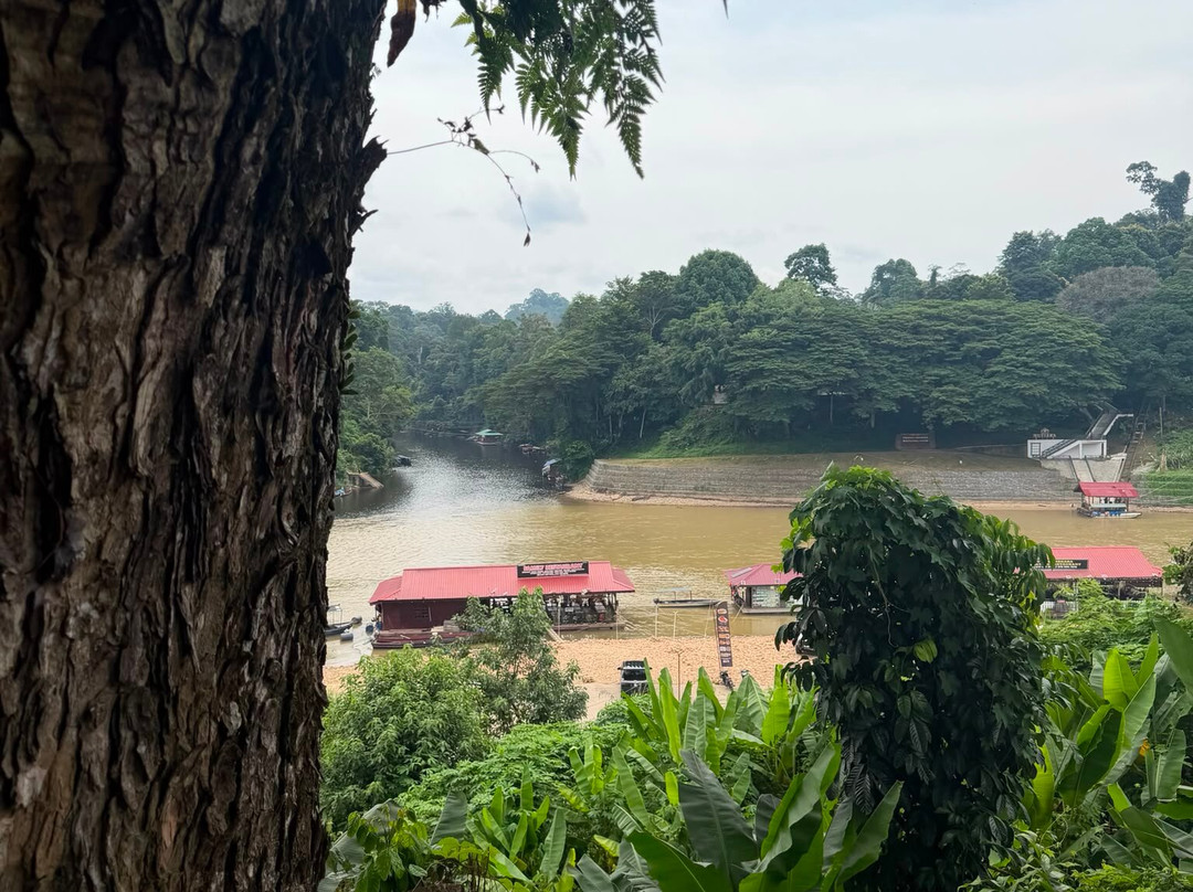 Taman Negara National Park-彭亨必去景点