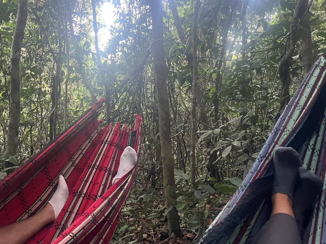 Amazon Rambo Jungle Tours-玛瑙斯必去景点