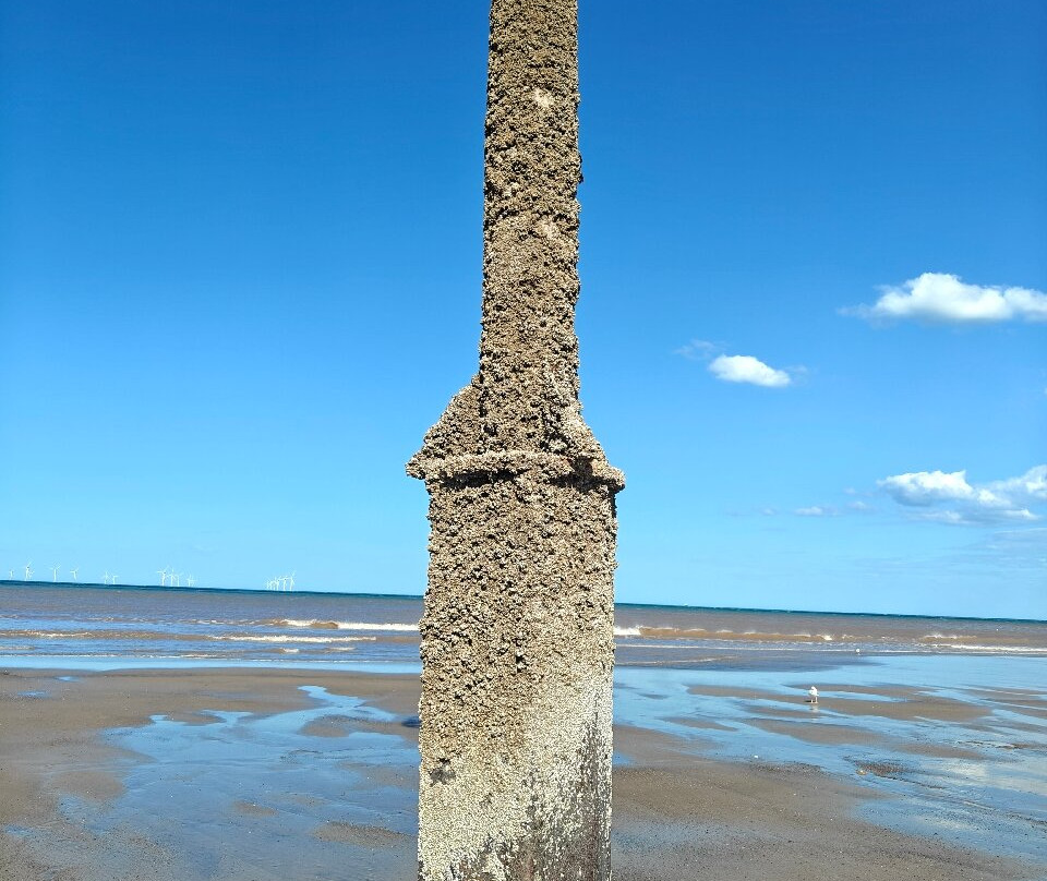 Withernsea Beach-Withernsea必去景点