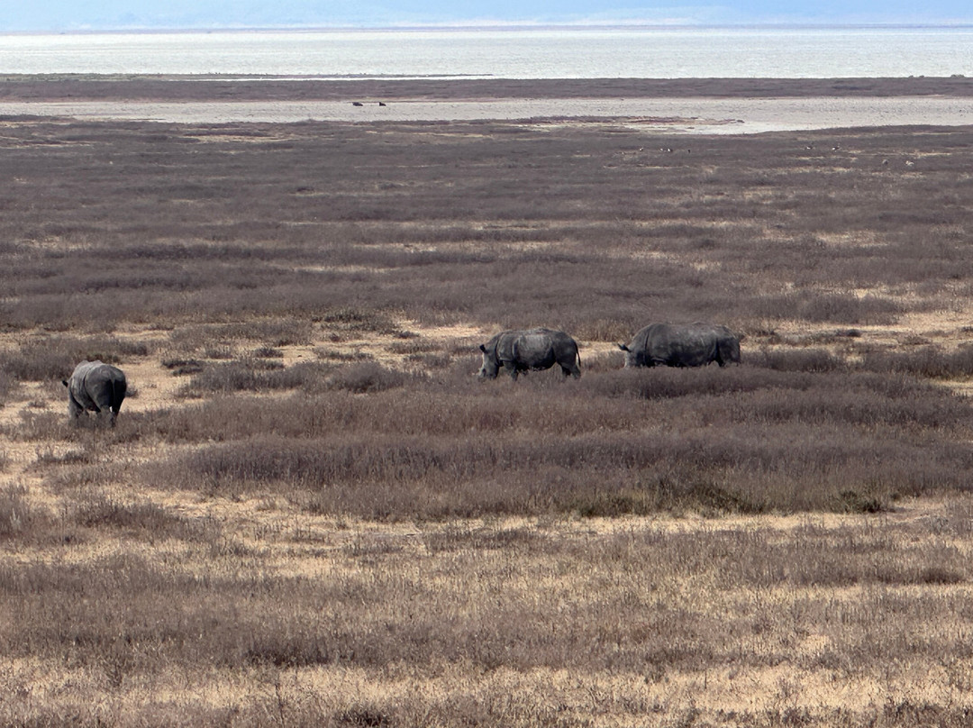 Ngorongoro Crater-恩戈罗恩戈罗保护区必去景点