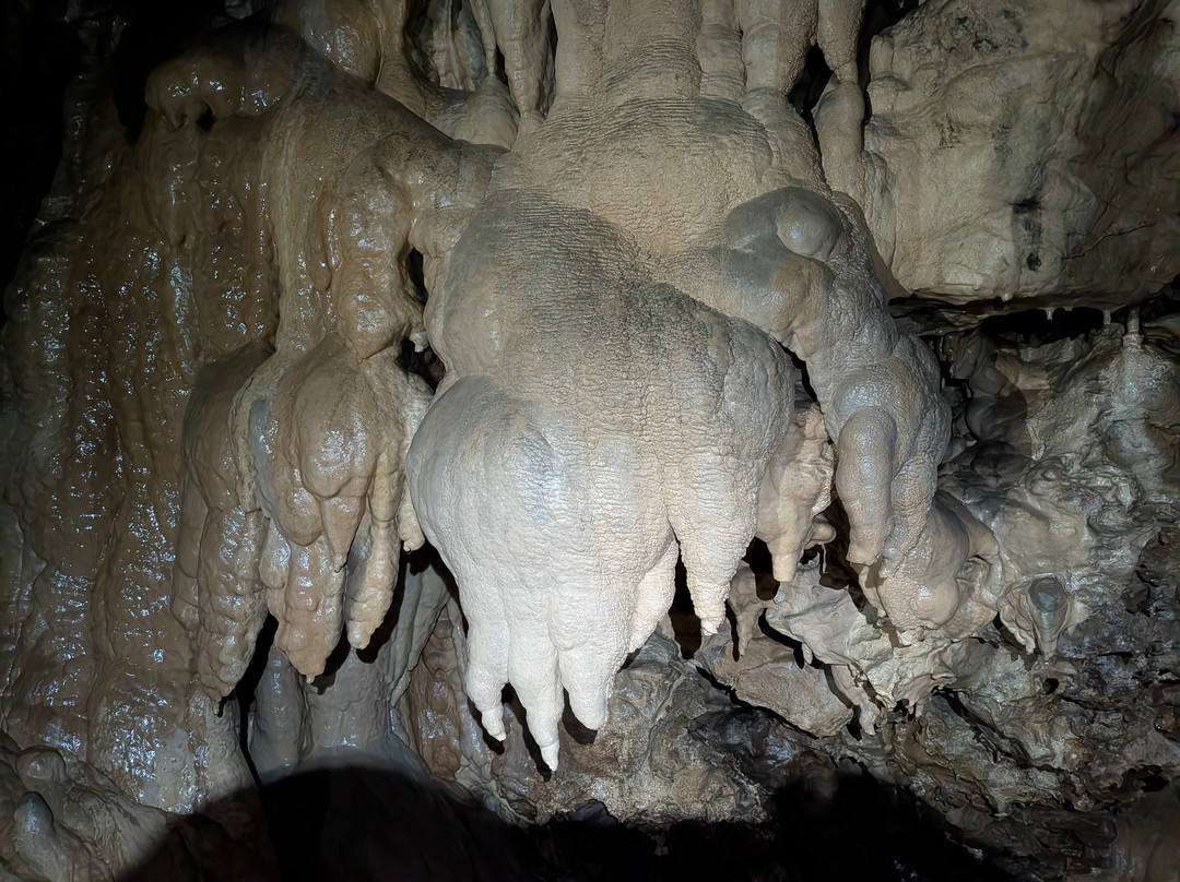 Grotte di CastelloTesino-Castello Tesino必去景点