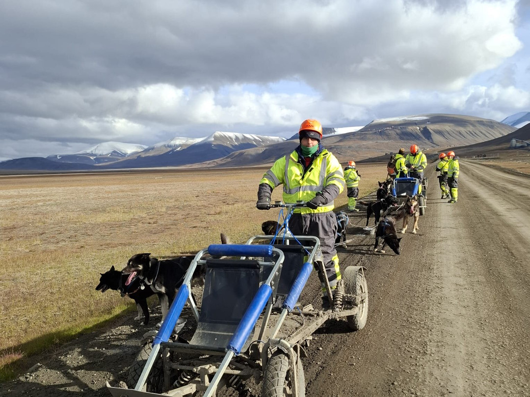 Green Dog Svalbard-朗伊尔城必去景点