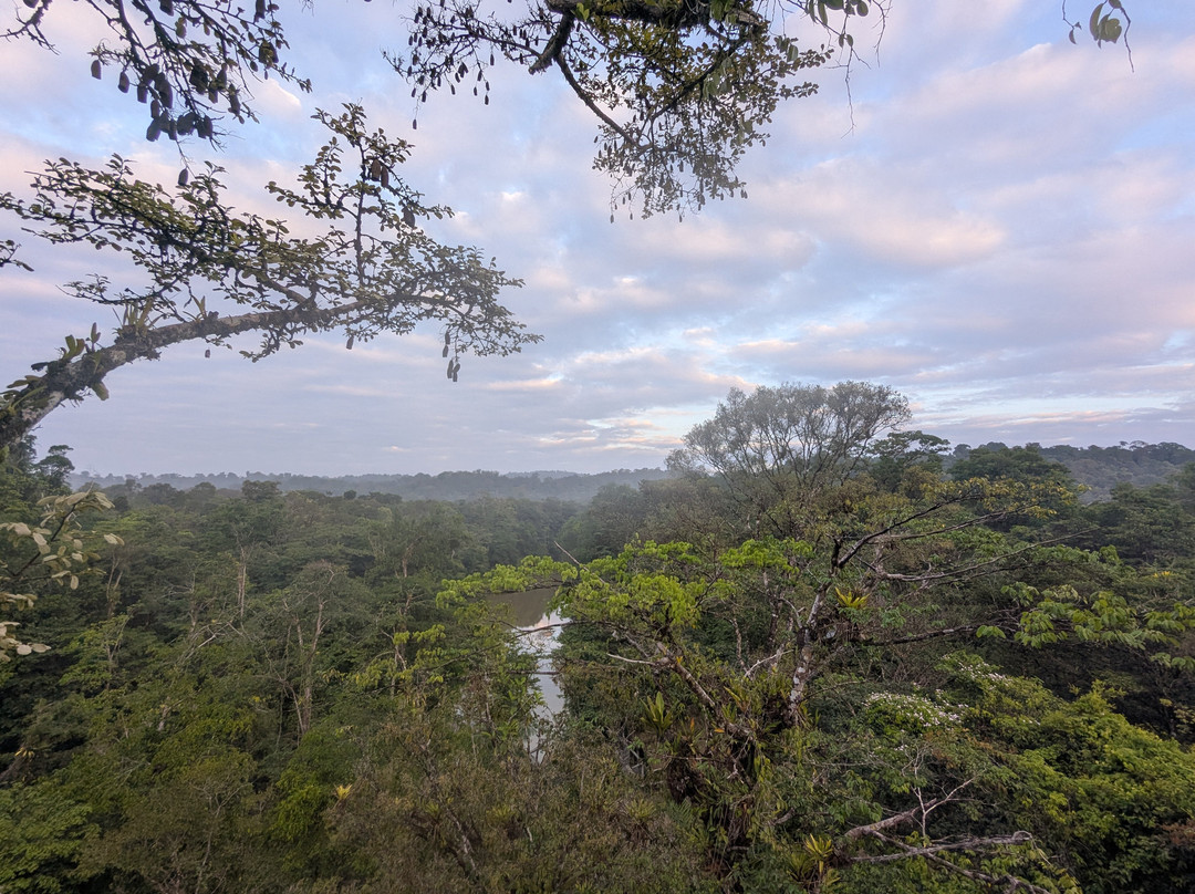 Camp Canopée-Kourou必去景点