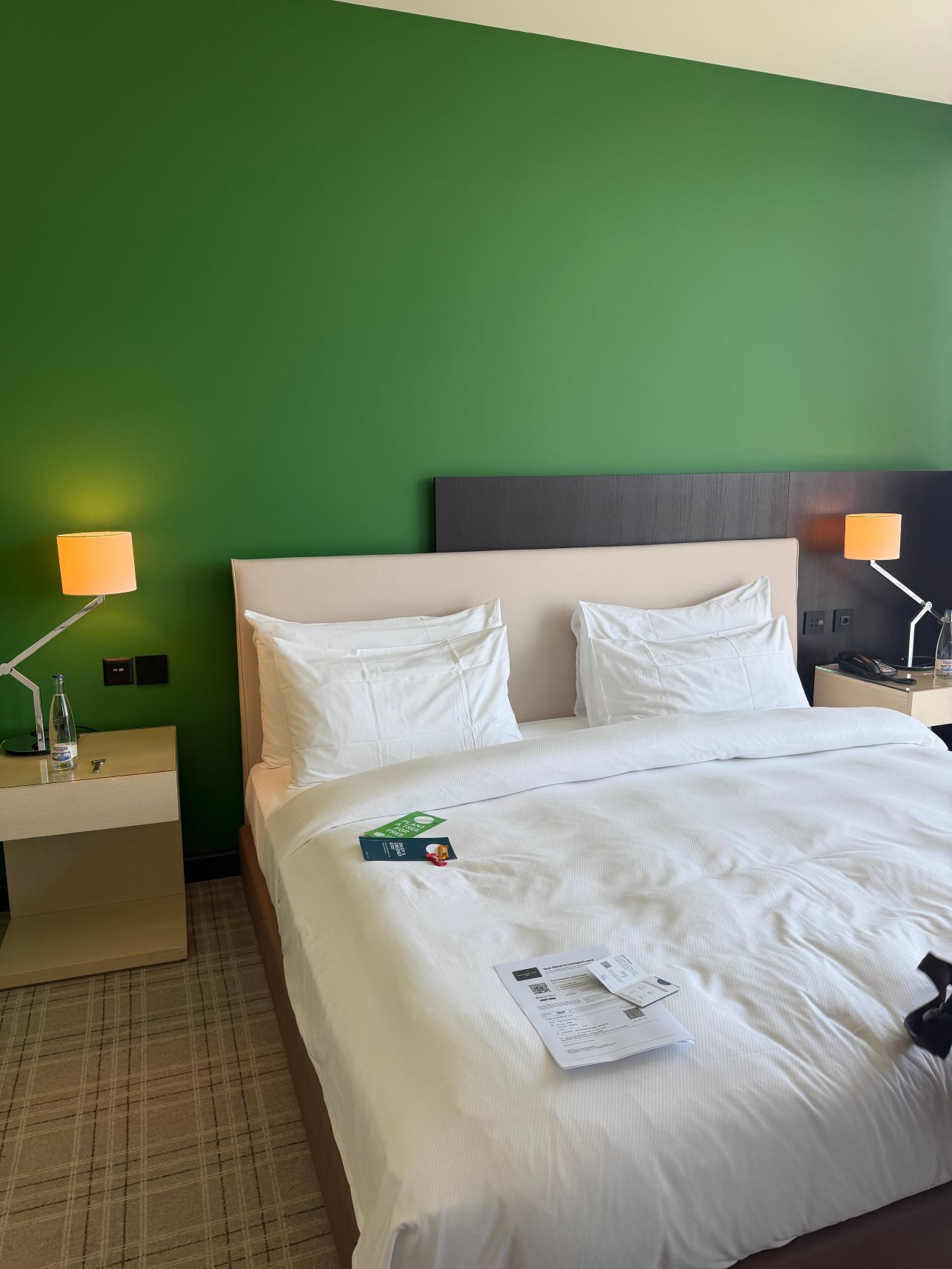Crowne Plaza 日内瓦皇冠假日酒店-旅行者