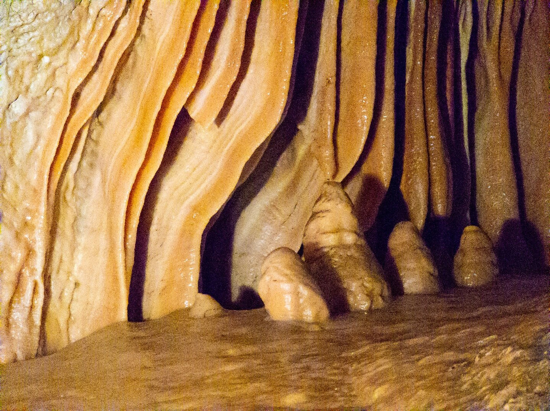Grotte di Toirano-Toirano必去景点