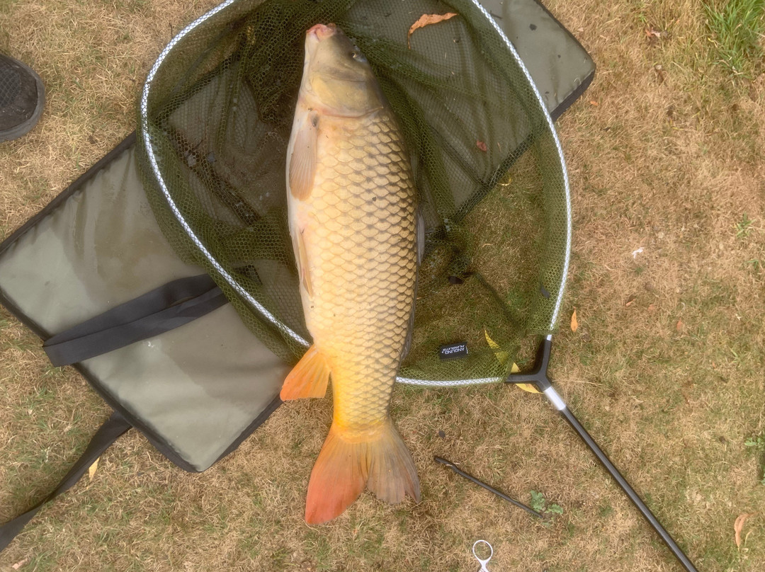Willow Pond Camping