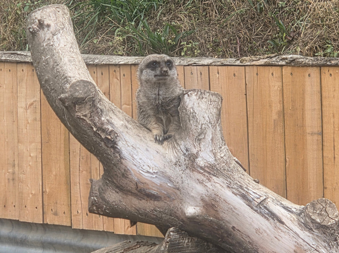 Secret Valley Wildlife Park-韦克斯福德必去景点