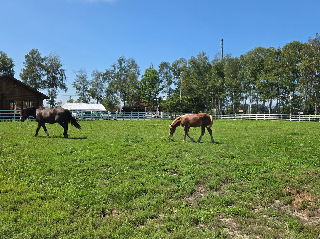Banei Horse Ranch Tokachi-带广市必去景点