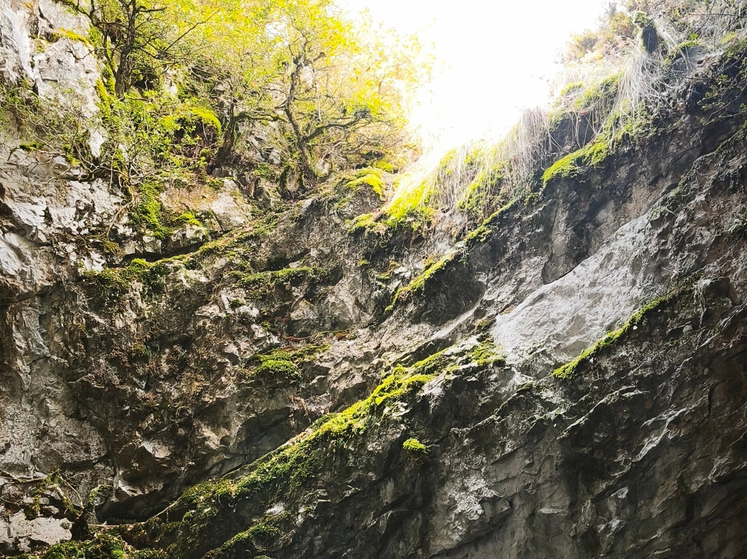 Cueva de las Güixas-Villanua必去景点
