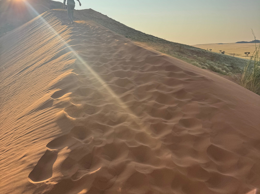 Elim Dunes-Namib-Naukluft Park必去景点