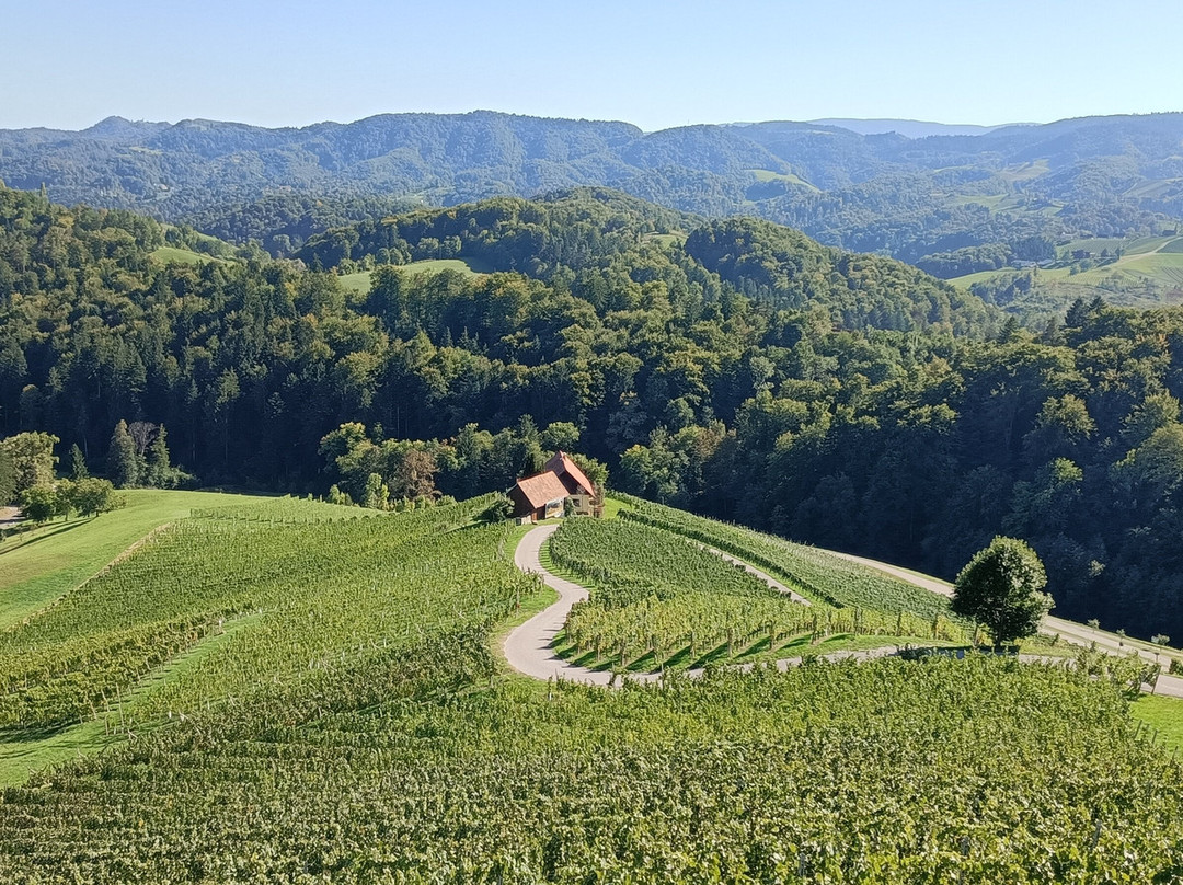 Šerbinek Winery & the Heart-Shaped Wine Road-Zgornja Kungota必去景点