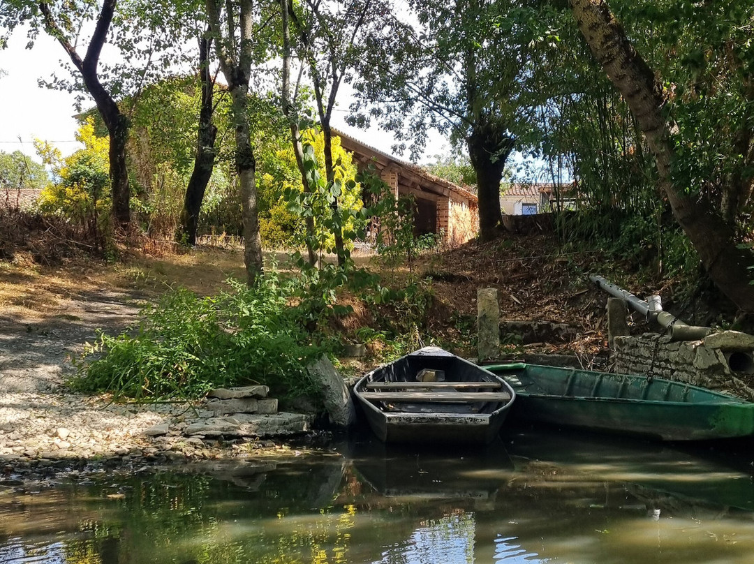 Oiseaux du Marais Poitevin-Saint-Hilaire-la-Palud必去景点