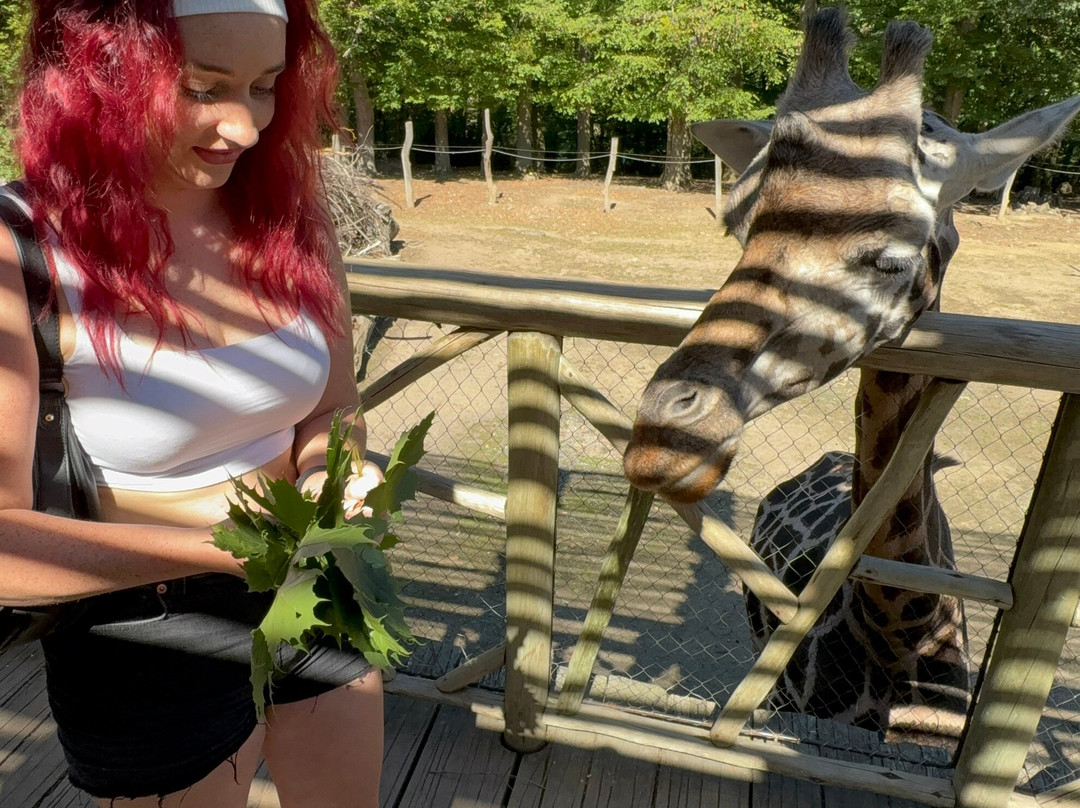 ZOO and Castle Zlin - Lesna-兹林必去景点