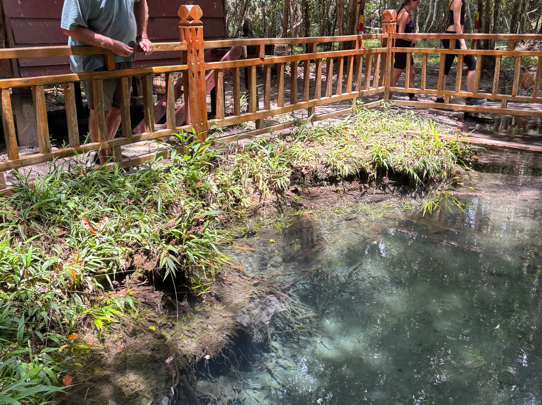 Viti's Siem Reap Private Driver & Tour-暹粒必去景点