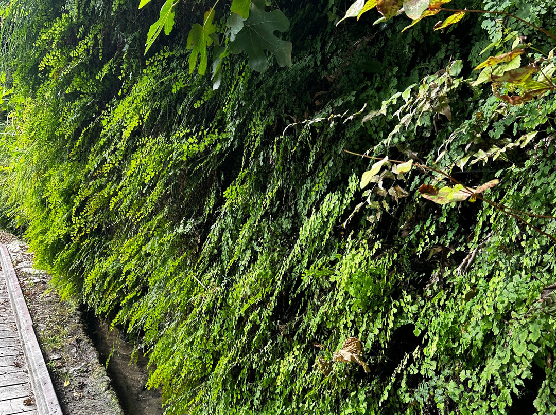 Grotte del Caglieron-Fregona必去景点