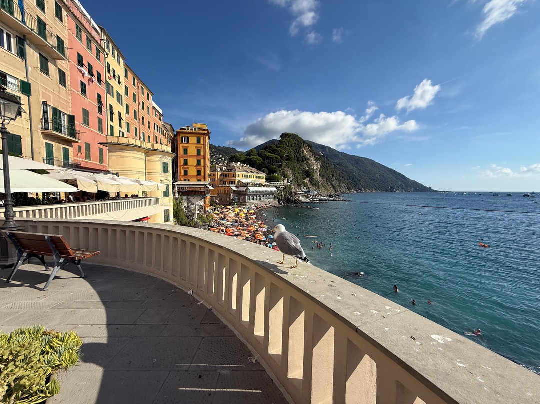 Camogli - San Rocco - Punta Chiappa Trail-卡莫利必去景点