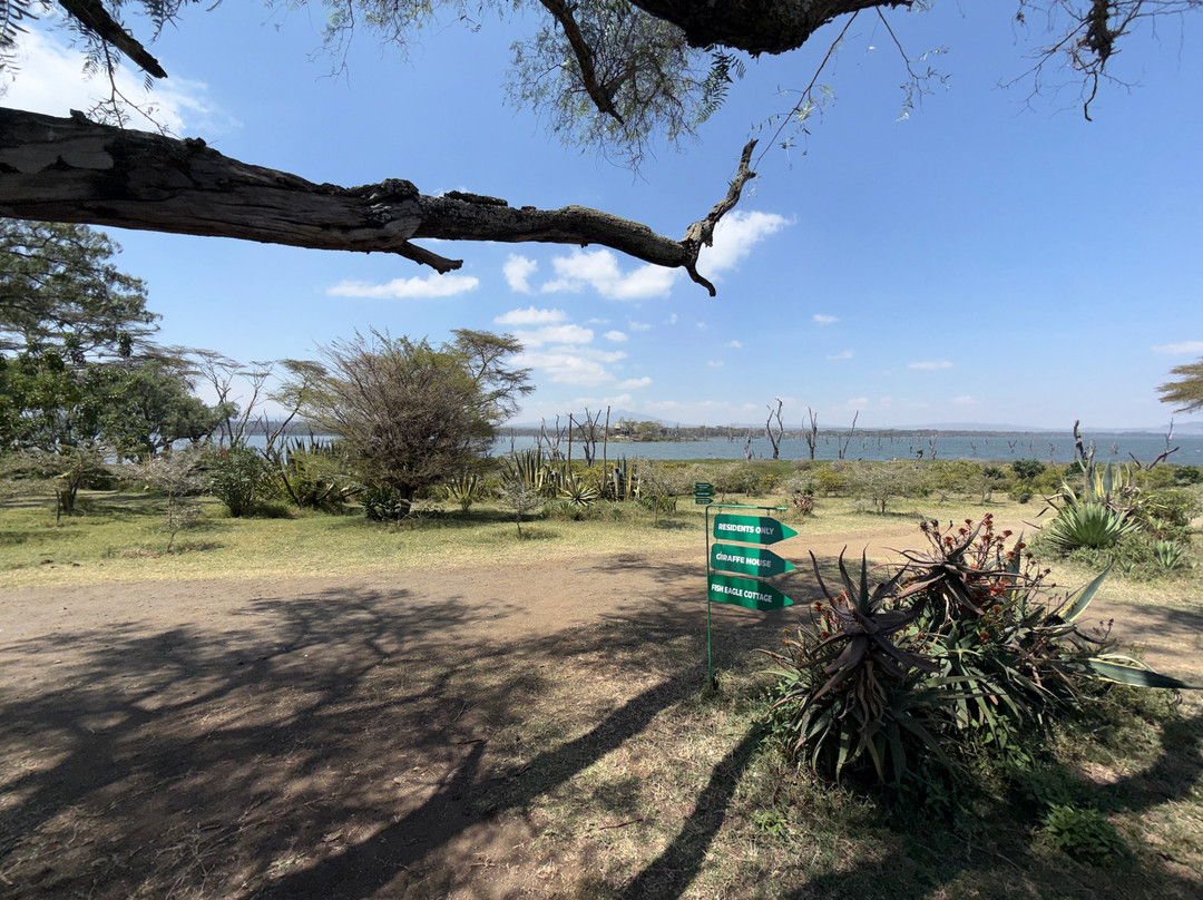 Crescent Island Game Sanctuary-奈瓦夏必去景点