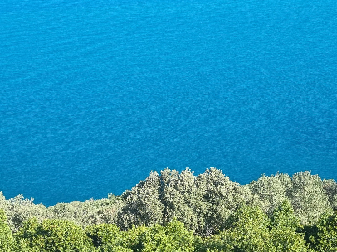 Castello di Populonia-Populonia必去景点