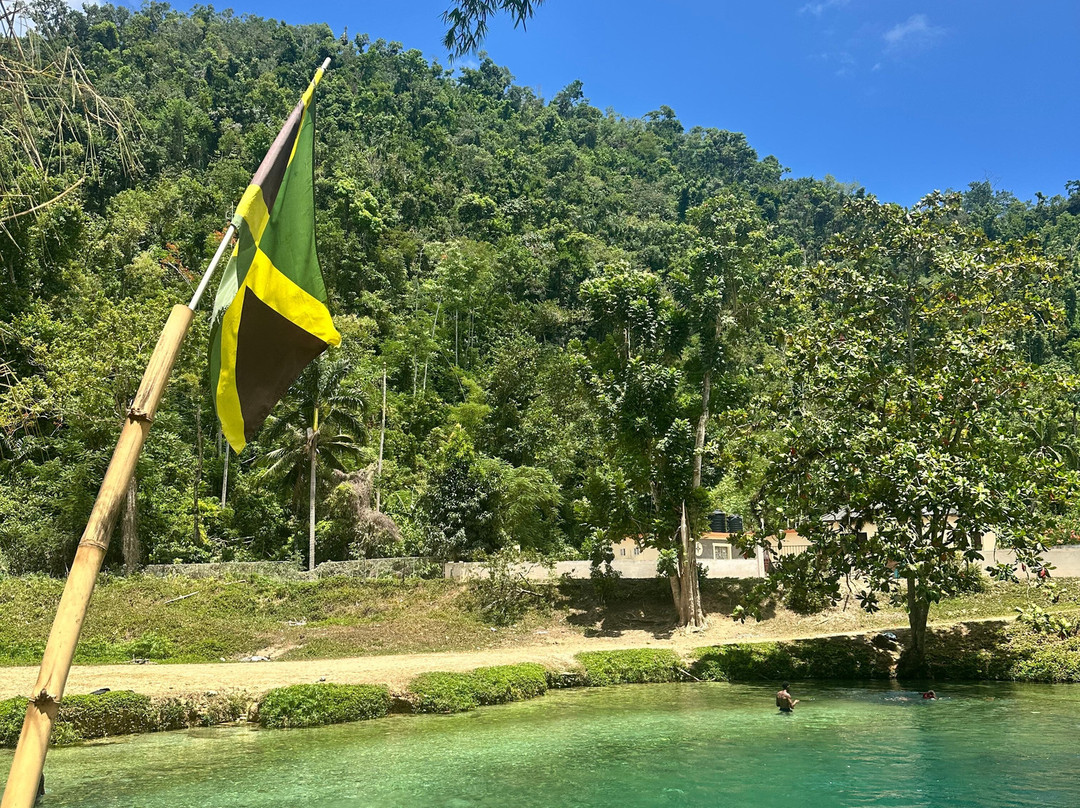 Travel Jamaica Tours-奥乔里奥斯必去景点