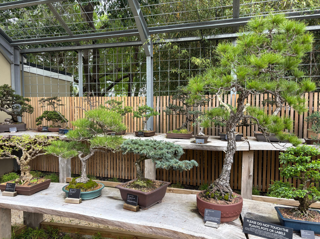 Stellenbosch University Botanical Garden-斯泰伦博斯必去景点