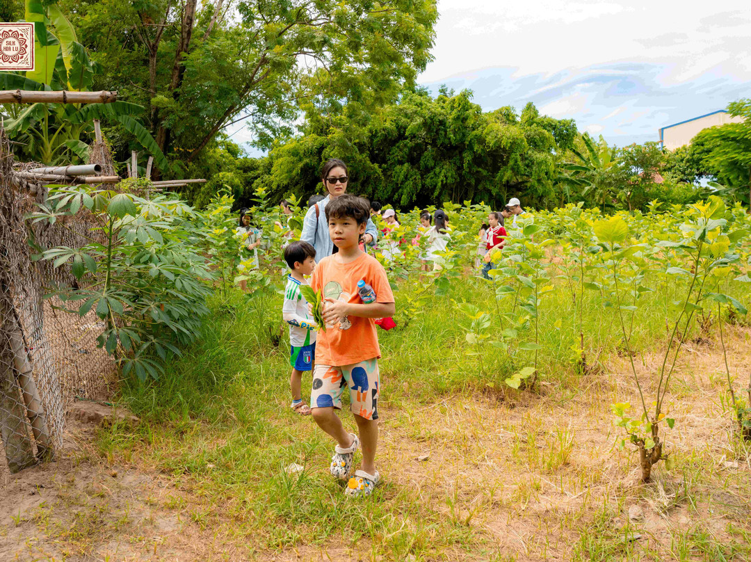 Silk Farm Bến Giá-宁平必去景点