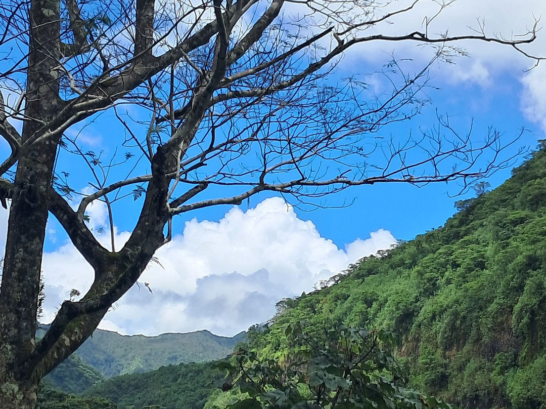 Marama Safari 4x4-法阿必去景点
