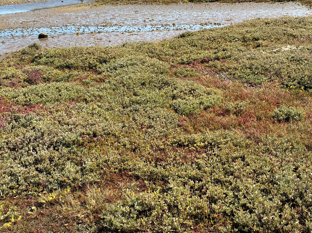 Chesil Beach-韦茅斯必去景点