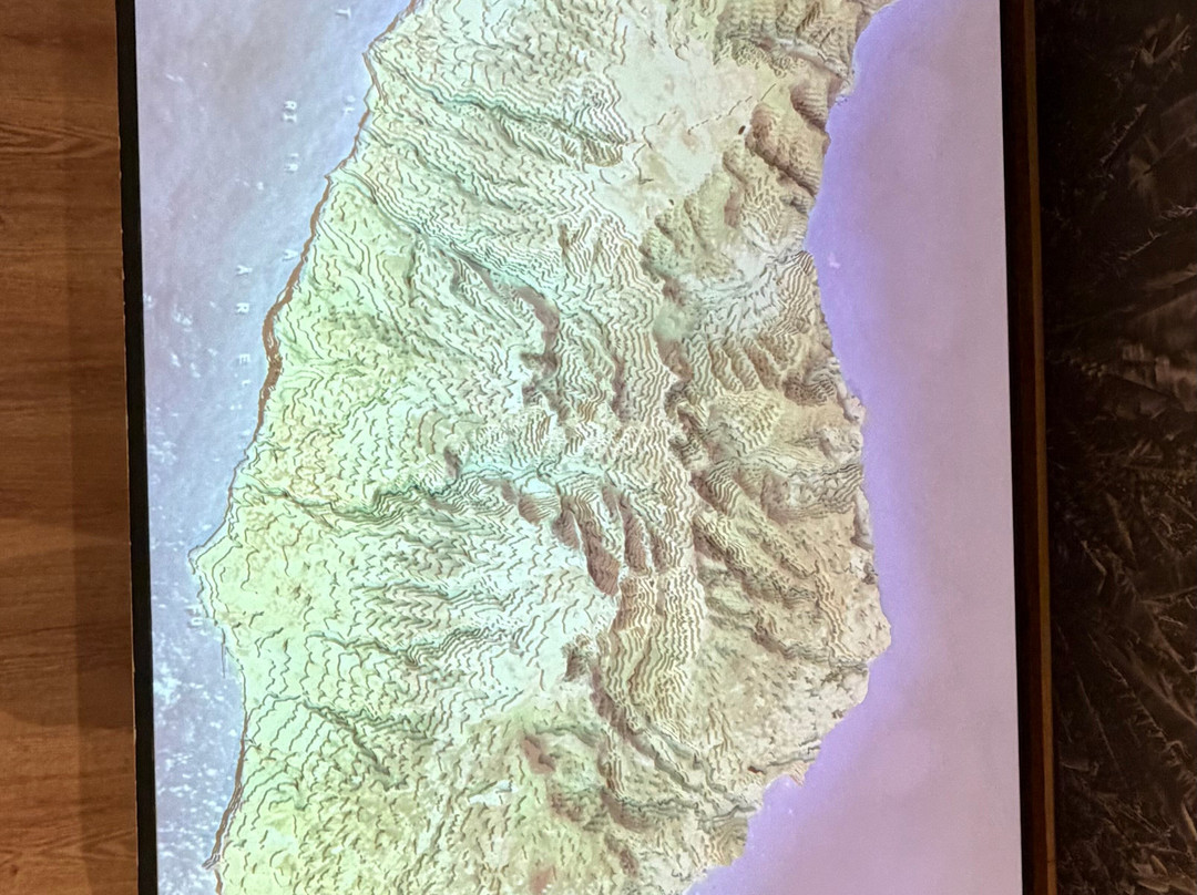 BAM - Centro Da Banana Da Madeira-Ponta Do Sol必去景点
