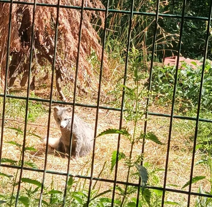 Ponderosa Zoo-Heckmondwike必去景点