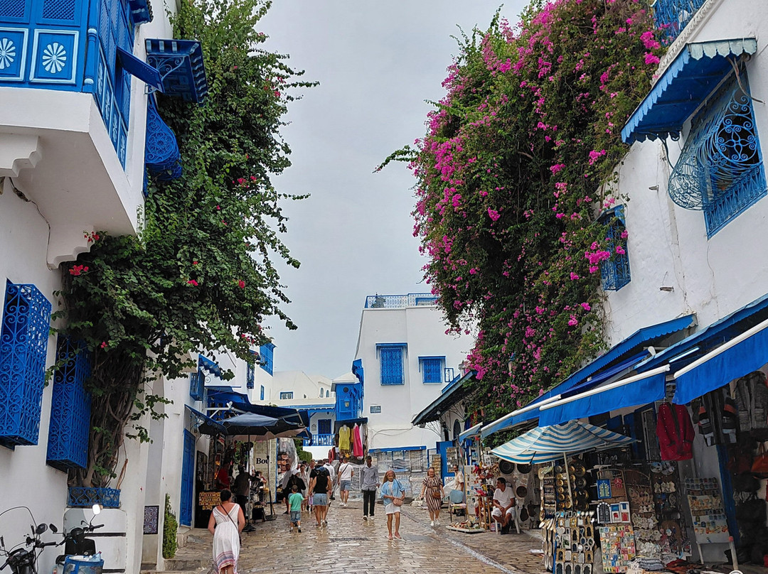 Mosquée De Sidi Bou Said-蓝白小镇必去景点