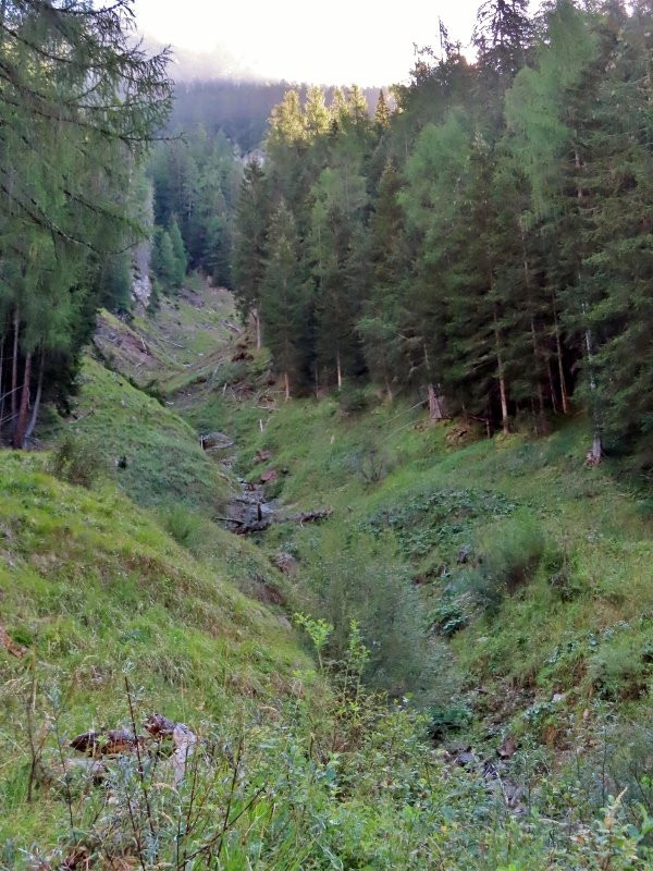 Passeggiata - Strada dei Siori-Selva di Cadore必去景点