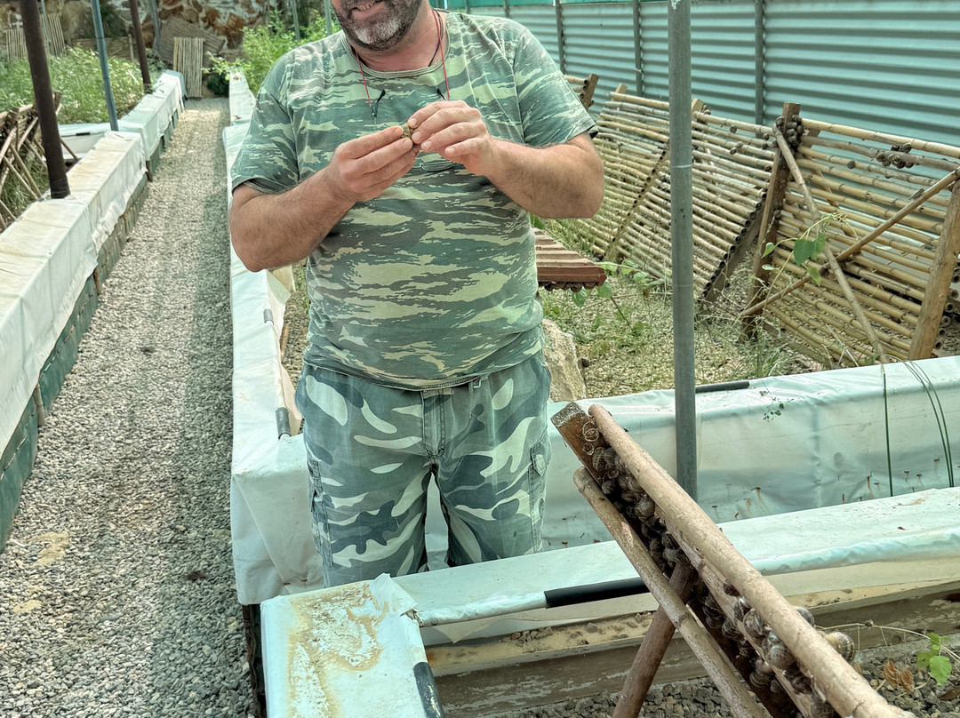 Snail Farm And Fun-Tylissos必去景点