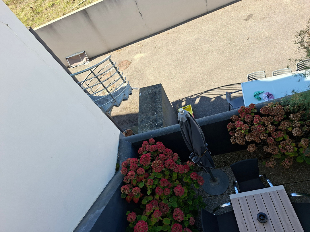 布里桑酒店主图