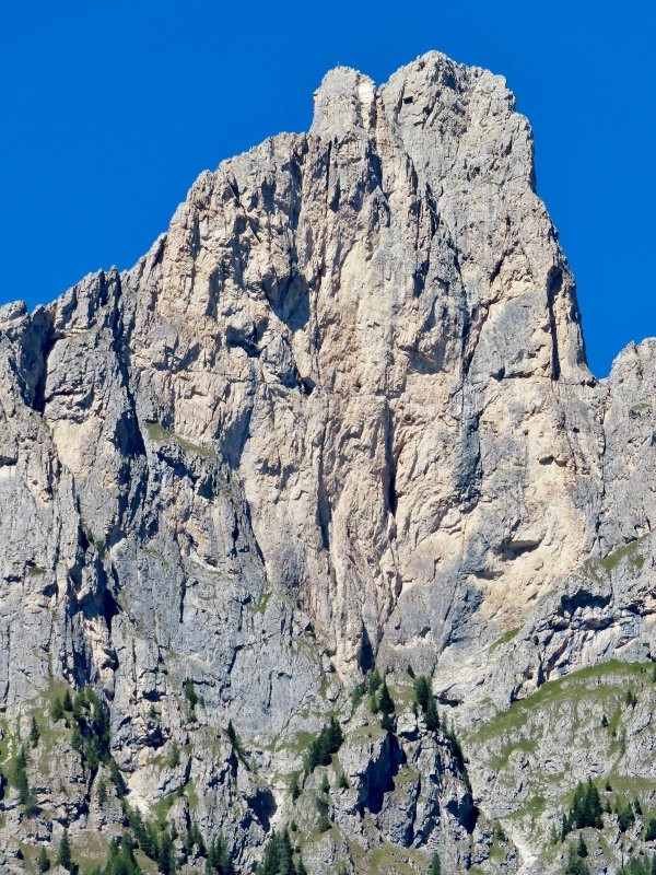 Monte Cernera-Selva di Cadore必去景点